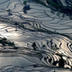 Illustration for article titled This Gorgeous Stained Glass Landscape Is Actually a Rice Field